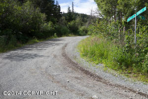 7900 Robert Cir, Anchorage, AK 99516 photo 11