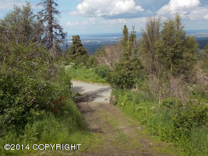 7900 Robert Cir, Anchorage, AK 99516 photo 21