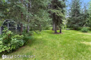 4610 Mars Dr, Anchorage, AK 99507 photo 46