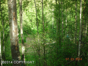 20415 Stephen Cir, Chugiak, AK 99567 photo 30
