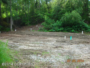 20415 Stephen Cir, Chugiak, AK 99567 photo 35