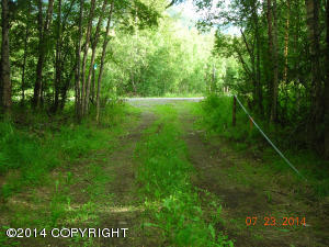 20415 Stephen Cir, Chugiak, AK 99567 photo 32