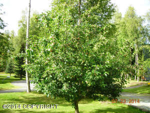 20415 Stephen Cir, Chugiak, AK 99567 photo 23