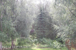 8251 Berry Patch Dr, Anchorage, AK 99502 photo 22