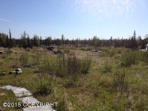 67441 Fishhook Rd, Ninilchik, AK 99639 photo 14