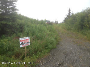 67441 Fishhook Rd, Ninilchik, AK 99639 photo 13