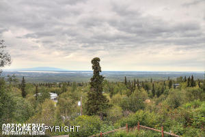 9850 Prospect Dr, Anchorage, AK 99507 photo 2