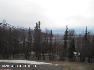 19415 Upper Skyline Dr, Eagle River, AK 99577 photo 29