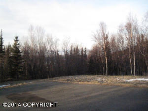 19415 Upper Skyline Dr, Eagle River, AK 99577 photo 26