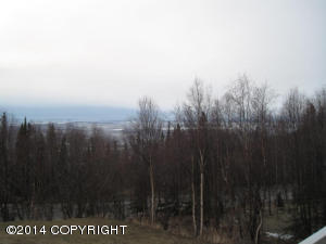 19415 Upper Skyline Dr, Eagle River, AK 99577 photo 27