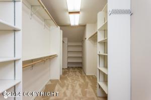 10141 Pointe Resolution Dr, Anchorage, AK 99515 photo 12