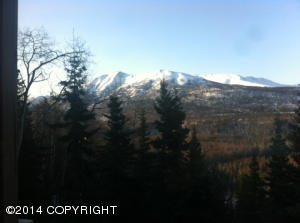 9821 Saaya Cir, Eagle River, AK 99577 photo 18