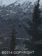 9821 Saaya Cir, Eagle River, AK 99577 photo 20