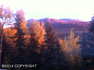 9821 Saaya Cir, Eagle River, AK 99577 photo 8