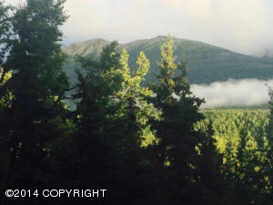 9821 Saaya Cir, Eagle River, AK 99577 photo 17