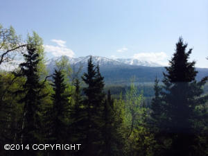 9821 Saaya Cir, Eagle River, AK 99577 photo 19