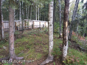 9821 Saaya Cir, Eagle River, AK 99577 photo 21