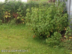 6400 E 9th Ave, Anchorage, AK 99504 photo 21