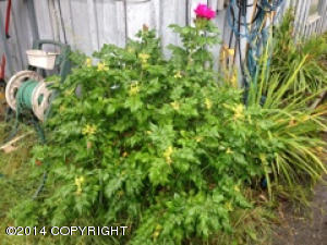 6400 E 9th Ave, Anchorage, AK 99504 photo 31