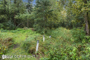 4800 E 112th Ave, Anchorage, AK 99516 photo 20