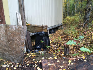 16380 E Kings River Rd, Sutton, AK 99674 photo 8