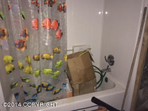16380 E Kings River Rd, Sutton, AK 99674 photo 2