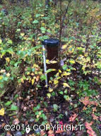 16380 E Kings River Rd, Sutton, AK 99674 photo 9