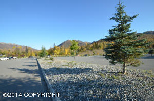 22950 Skyview Ave, Chugiak, AK 99567 photo 62