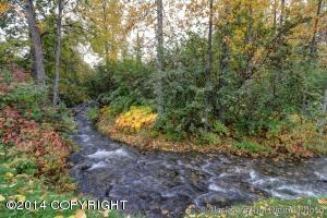 18212 Kantishna Dr, Eagle River, AK 99577 photo 21