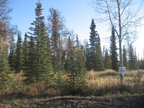 53747 Stol Rd, Kasilof, AK 99610