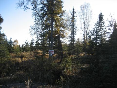 L10a B2 Bruin Circle, Kasilof, AK 99610