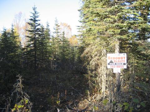 L10b B2 Tolum Road, Kasilof, AK 99610