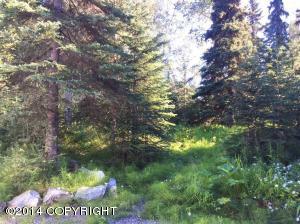 5600 E 98th Ave, Anchorage, AK 99507 photo 45