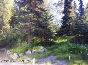 5600 E 98th Ave, Anchorage, AK 99507 photo 46