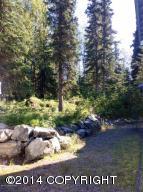 5600 E 98th Ave, Anchorage, AK 99507 photo 43