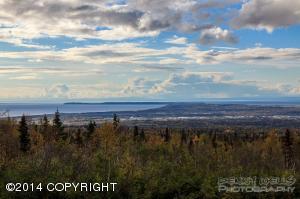 12101 Graiff St, Anchorage, AK 99516 photo 6