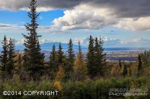 12101 Graiff St, Anchorage, AK 99516 photo 7