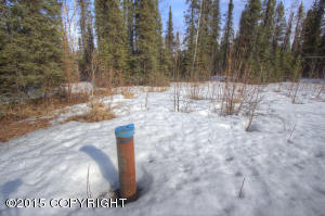 16210 E Hidden Hills Rd, Willow, AK 99688 photo 31