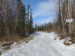 16210 E Hidden Hills Rd, Willow, AK 99688 photo 25