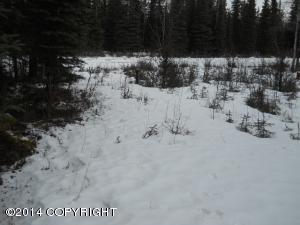 37933 Eagleson Ave, Sterling, AK 99672 photo 14