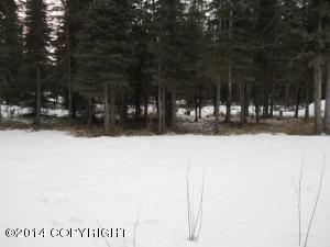 37933 Eagleson Ave, Sterling, AK 99672 photo 11