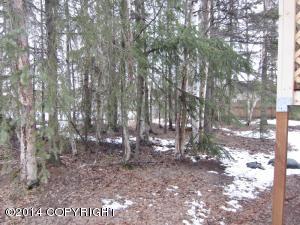 521 High View Dr, Anchorage, AK 99515 photo 6