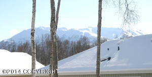 16502 Baird Cir, Eagle River, AK 99577 photo 21