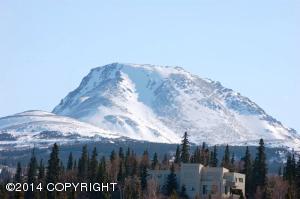 6340 Limestone Cir, Anchorage, AK 99516 photo 38