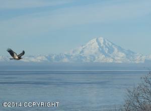10155 Sunset Dr, Ninilchik, AK 99639 photo 7