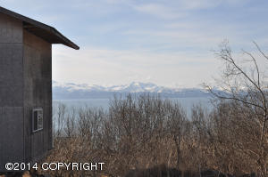 2241 Mount Augustine Dr, Homer, AK 99603 photo 2
