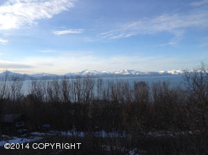2241 Mount Augustine Dr, Homer, AK 99603 photo 9