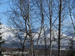 5620 E 40th Ave # C203, Anchorage, AK 99504 photo 12
