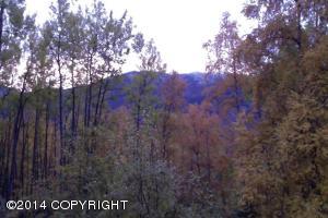 26010 White Spruce Dr, Eagle River, AK 99577 photo 36