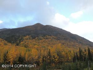 26010 White Spruce Dr, Eagle River, AK 99577 photo 35
